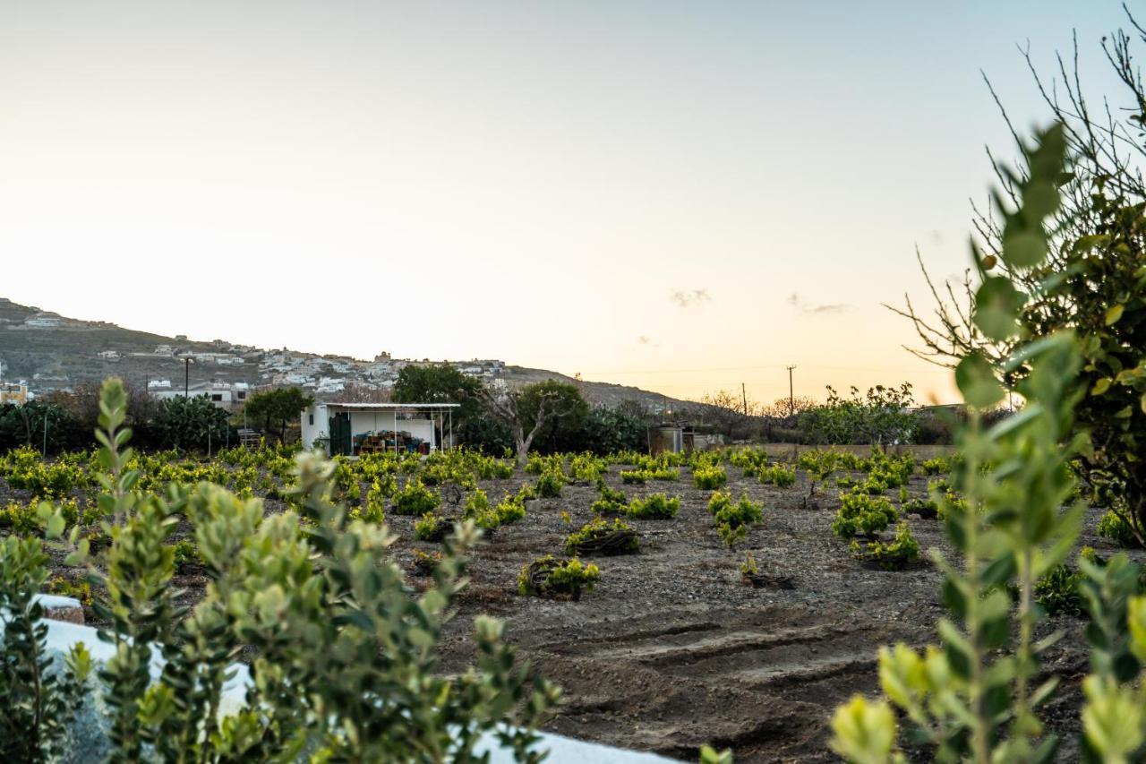 Sn Santorini Apartments Kamari  Ngoại thất bức ảnh